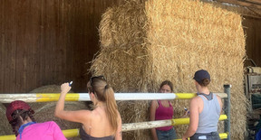 d20c3d_b1caec0412024610979944adef0399da~mv2